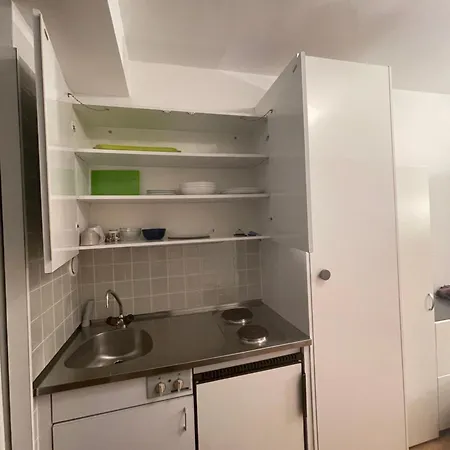Studio Ensoleille Avec Vue Sur Le Lac Daire Lozan